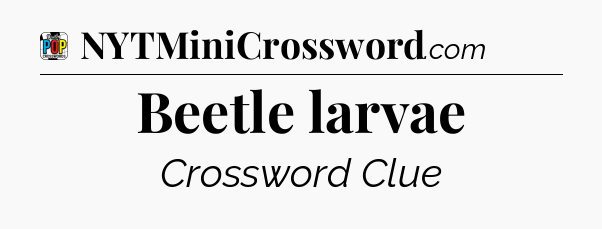 Beetle larvae Crossword Clue