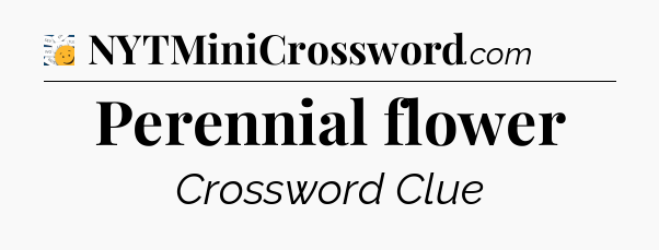 Perennial flower - 7 Little Words