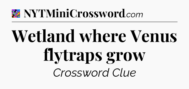 Wetland where Venus flytraps grow Crossword Clue