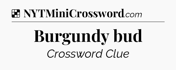 Solution: Burgundy bud - NYT Crossword