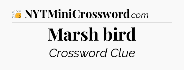 Marsh bird - 7 Little Words