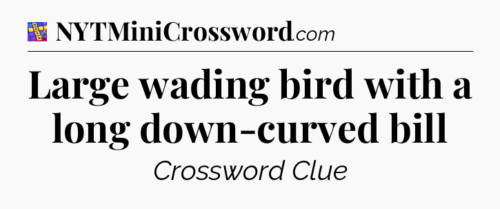 Large wading bird with a long down-curved bill Codycross