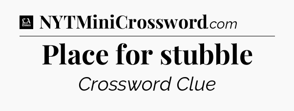 Place for stubble - LA Times Crossword