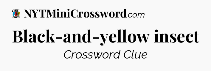Black-and-yellow insect Crossword Clue