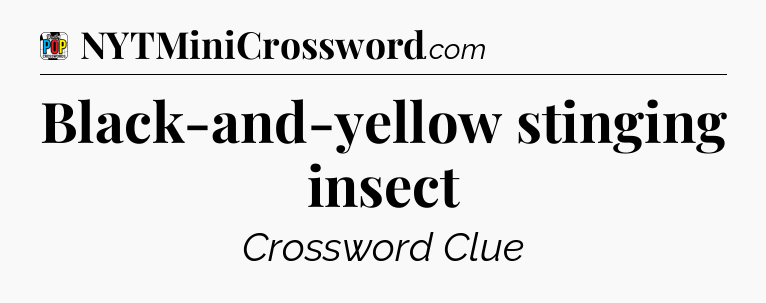 Black-and-yellow stinging insect Crossword Clue