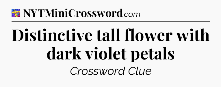 Distinctive tall flower with dark violet petals Codycross