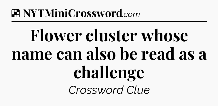 Solution: Flower cluster whose name can also be read as a challenge - NYT Crossword