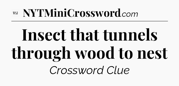 Insect that tunnels through wood to nest - WSJ Crossword