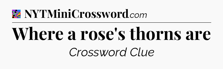 Where a rose's thorns are Crossword Clue