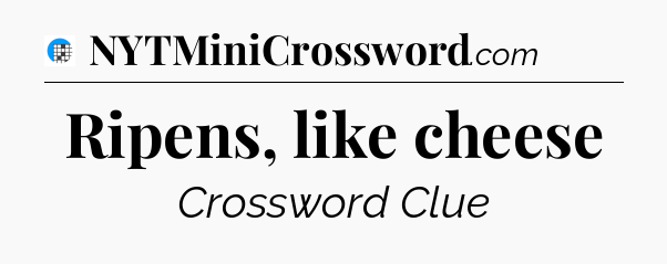 Ripens, like cheese Crossword Clue