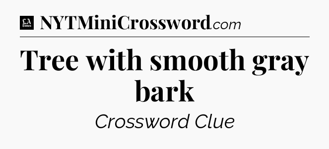 Tree with smooth gray bark - LA Times Crossword
