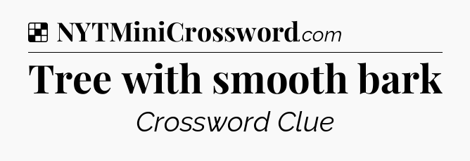 Solution: Tree with smooth bark - NYT Crossword