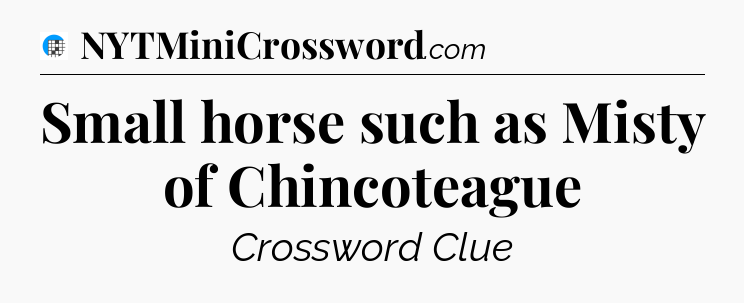 Small horse such as Misty of Chincoteague Crossword Clue