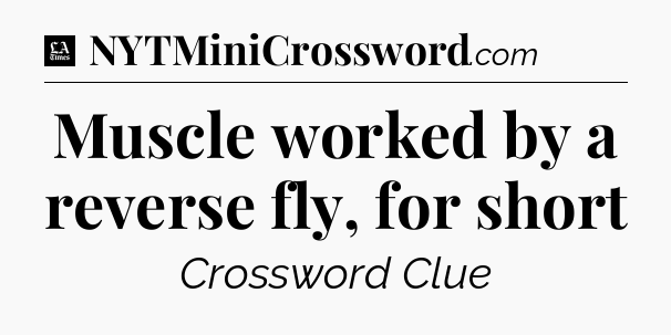 Muscle worked by a reverse fly, for short - LA Times Crossword