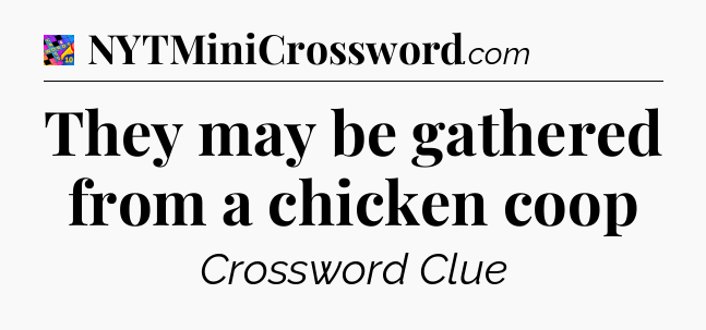 They may be gathered from a chicken coop Crossword Clue
