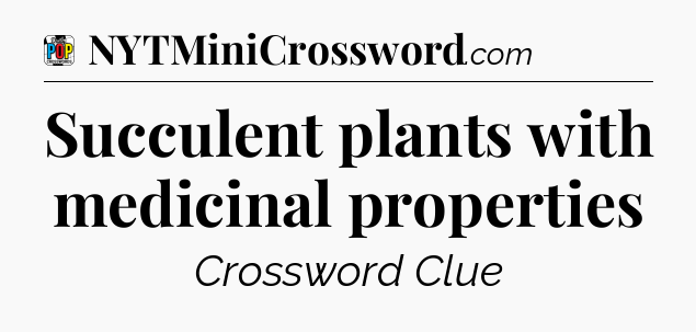 Succulent plants with medicinal properties Crossword Clue