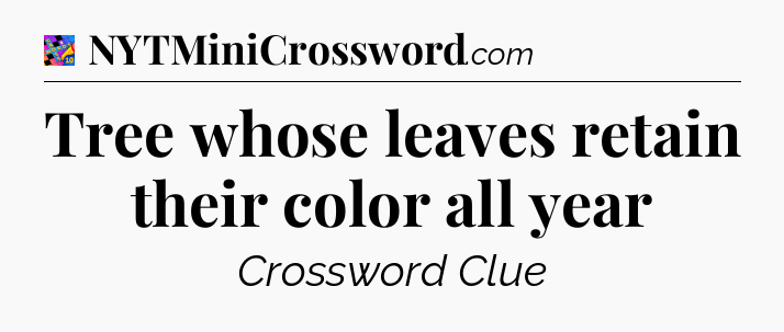 Tree whose leaves retain their color all year Crossword Clue