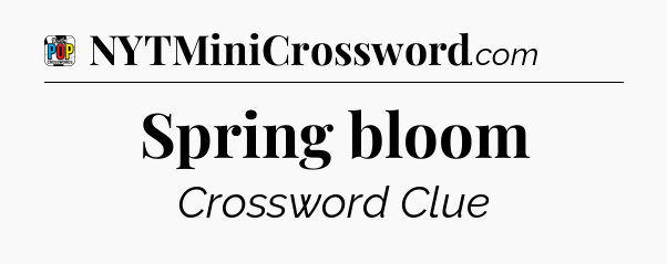 Spring bloom Crossword Clue
