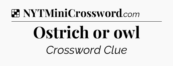 Solution: Ostrich or owl - NYT Crossword