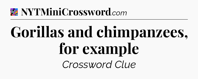 Gorillas and chimpanzees, for example Crossword Clue