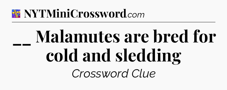 __ Malamutes are bred for cold and sledding Codycross