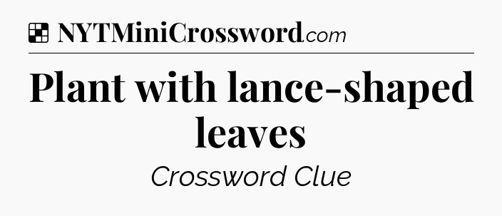 Solution: Plant with lance-shaped leaves - NYT Crossword