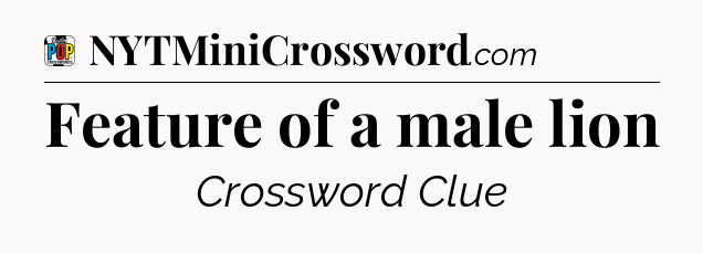 Feature of a male lion Crossword Clue
