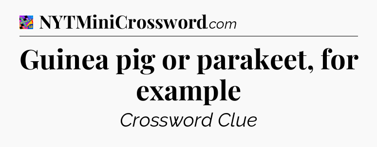 Guinea pig or parakeet, for example Crossword Clue