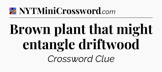 Brown plant that might entangle driftwood Crossword Clue