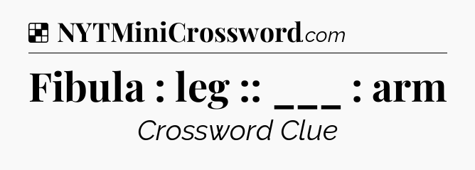 Solution: Fibula : leg :: ___ : arm - NYT Crossword