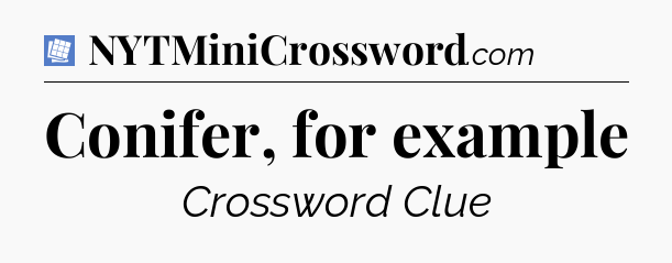 Conifer, for example Puzzle Page Crossword Clue