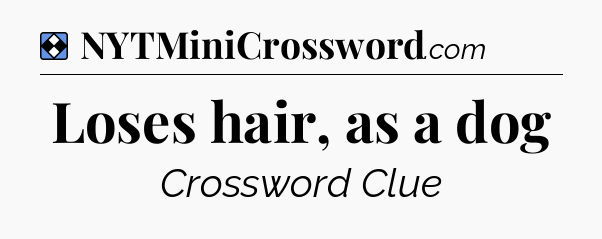 Solution: Loses hair, as a dog - NYT Mini Crossword