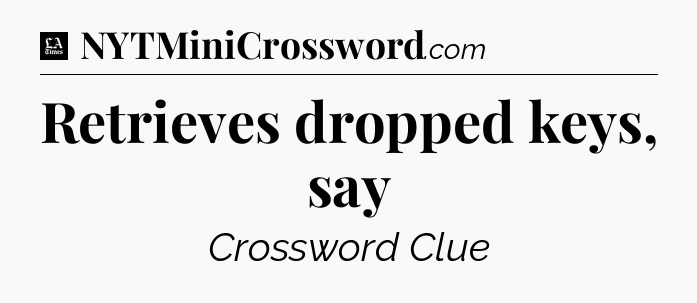 Retrieves dropped keys, say - LA Times Crossword