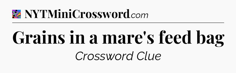 Grains in a mare's feed bag Crossword Clue