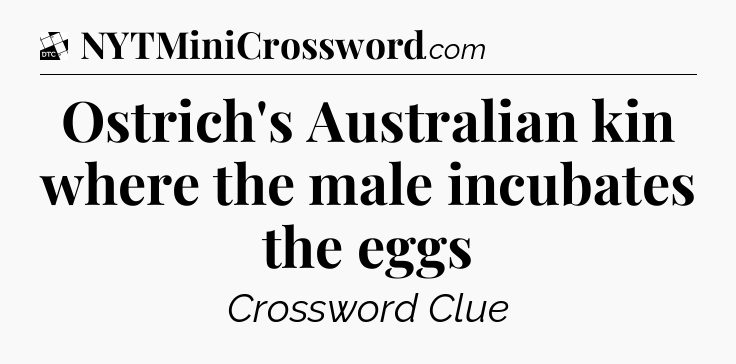 Ostrich's Australian kin where the male incubates the eggs - Daily Themed Classic Crossword