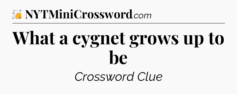 What a cygnet grows up to be - 7 Little Words
