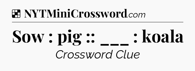 Solution: Sow : pig :: ___ : koala - NYT Crossword