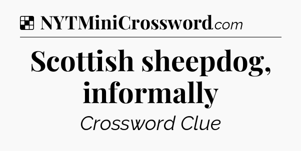 Solution: Scottish sheepdog, informally - NYT Crossword
