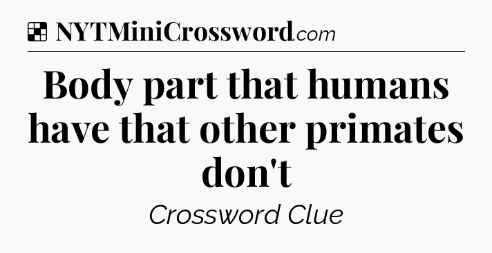 Solution: Body part that humans have that other primates don't - NYT Crossword