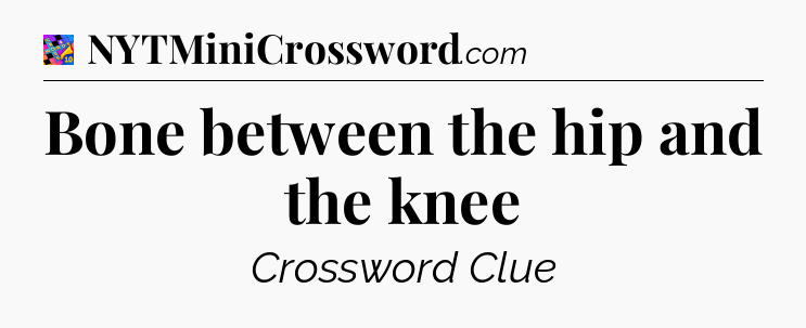 Bone between the hip and the knee Crossword Clue