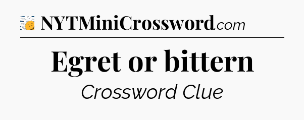 Egret or bittern - 7 Little Words