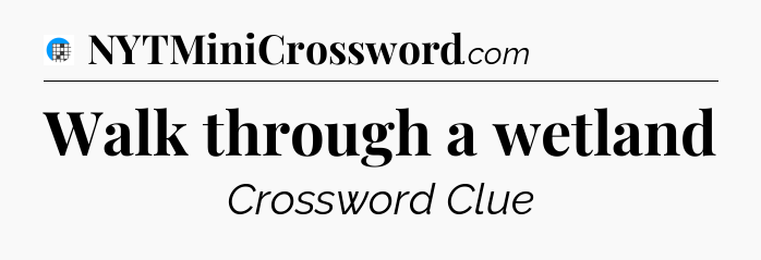 Walk through a wetland Crossword Clue