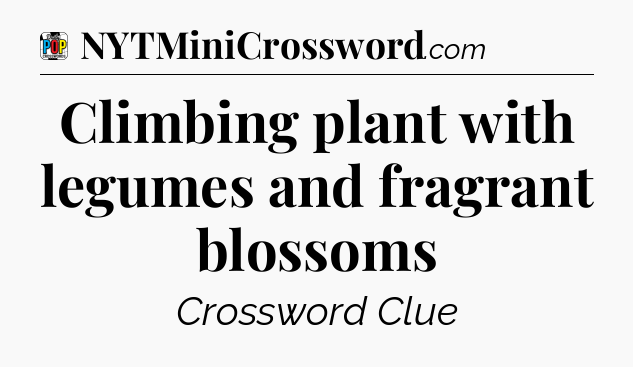 Climbing plant with legumes and fragrant blossoms Crossword Clue