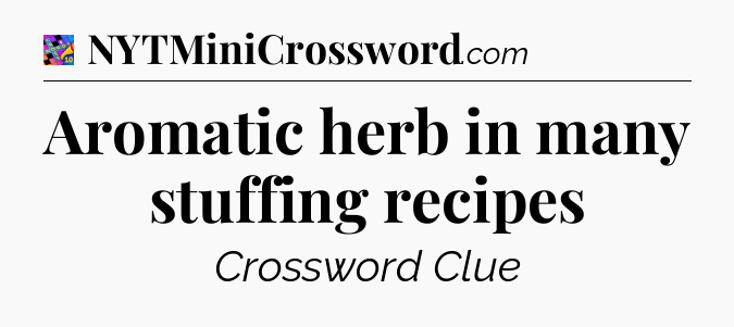 Aromatic herb in many stuffing recipes Crossword Clue