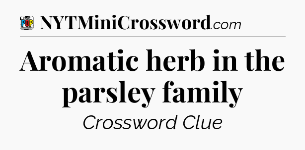 Aromatic herb in the parsley family Crossword Clue