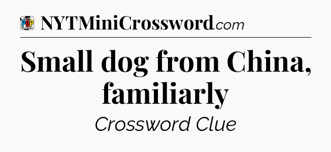 Small dog from China, familiarly Crossword Clue