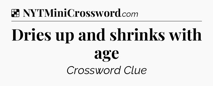 Solution: Dries up and shrinks with age - NYT Crossword