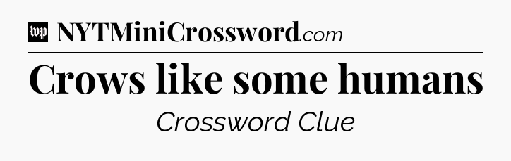 Crows like some humans Crossword Clue