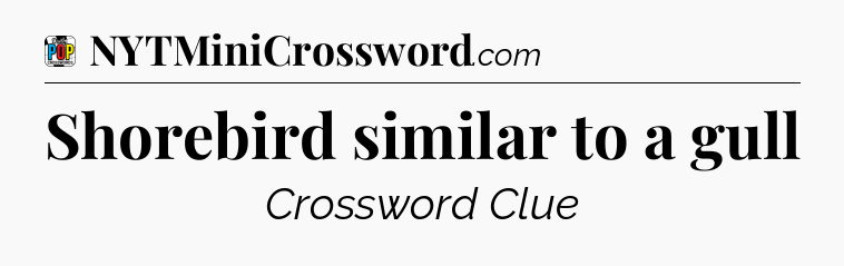 Shorebird similar to a gull Crossword Clue