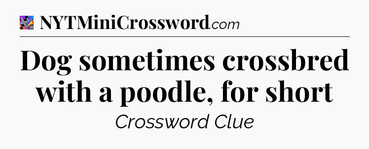 Dog sometimes crossbred with a poodle, for short Crossword Clue